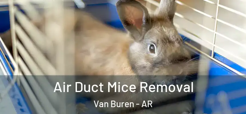 Air Duct Mice Removal Van Buren - AR