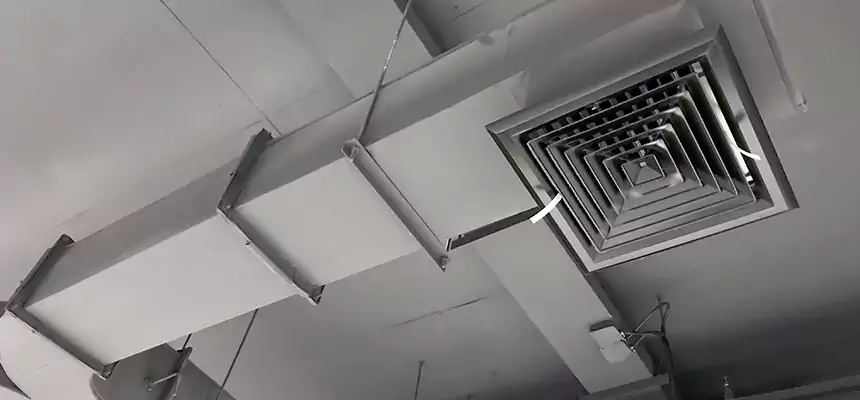 Restorative Allergy Relief Vent Cleaning – Coil, Blower & Housing Detail in Van Buren