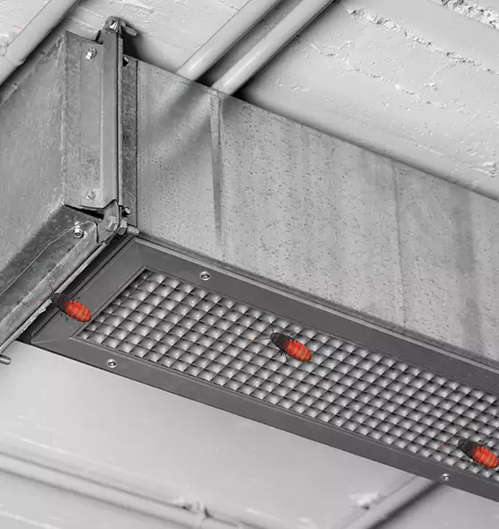 About Air Duct Cockroach Removal in Van Buren, AR