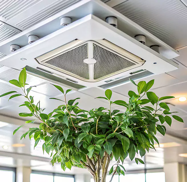 Why Homeowners & Businesses Trust Us in Van Buren, AR?